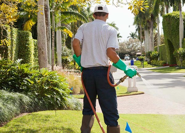About Stockbridge GA Pest Control Pros